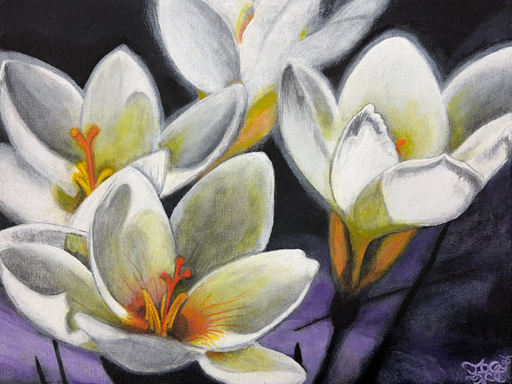 White crocus blossoms with yellow-green and orange centers against violet and charcoal shadows in an original Moon Man Paints botanical artwork.