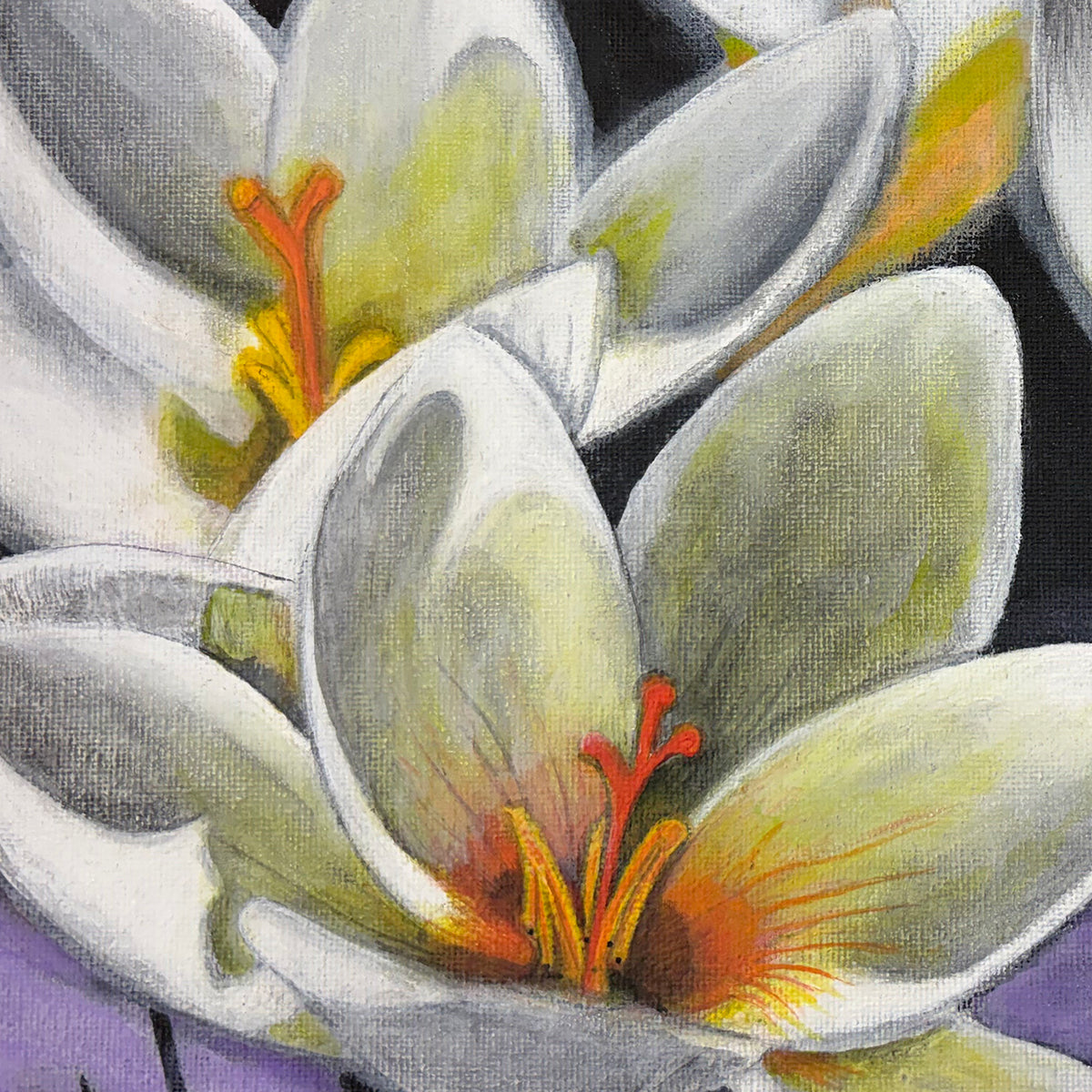 Close-up of the Crocus artwork showing luminous white petals, orange stamens, and visible painted texture.