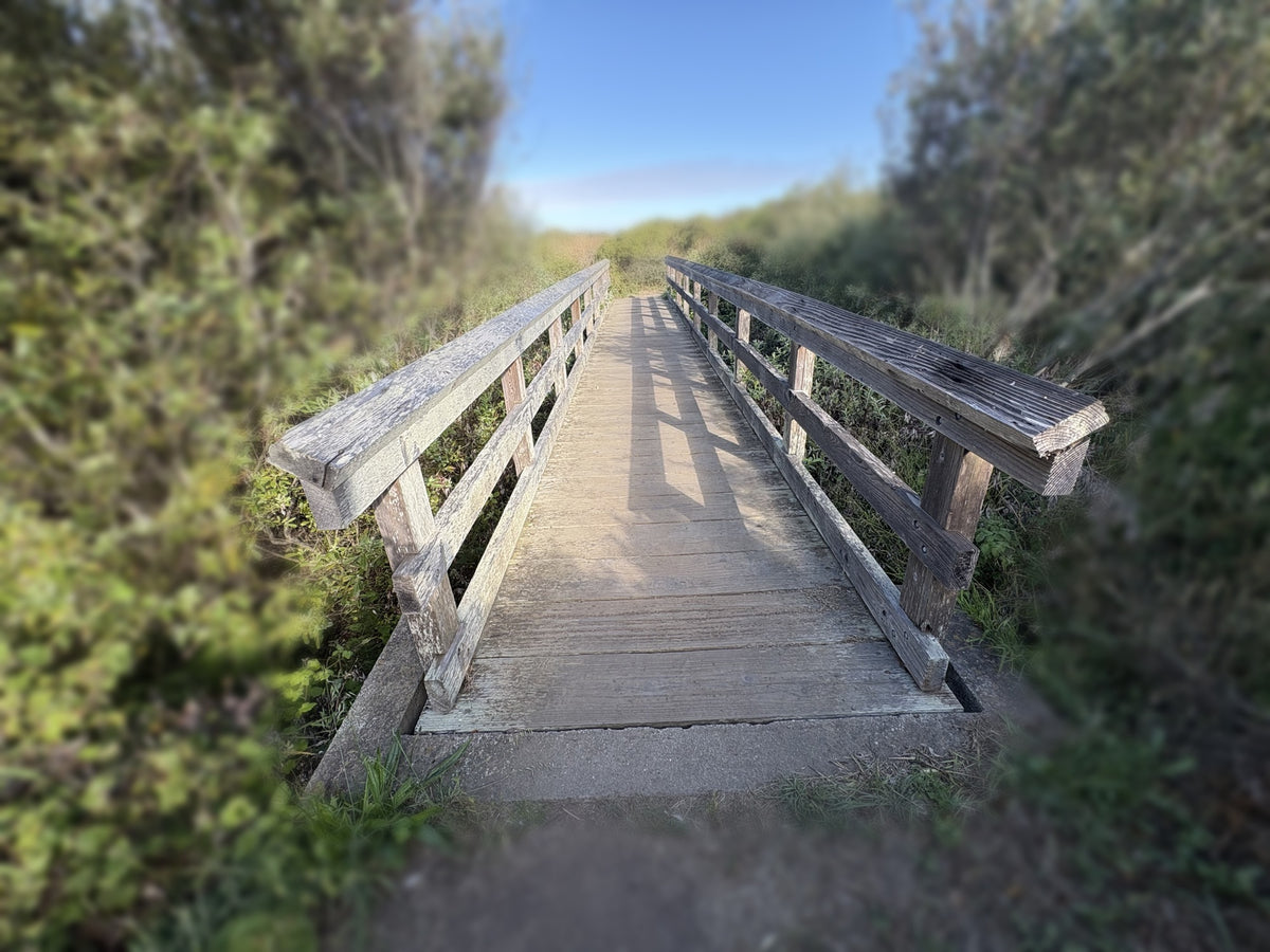 Wooden footbridge in crisp focus leading through softly blurred coastal greenery toward blue sky