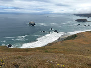 Pacific fog rolling over a rocky Bodega Bay coastline above surf and sea stacks.