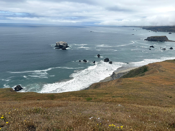 Pacific fog rolling over a rocky Bodega Bay coastline above surf and sea stacks.