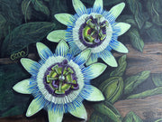 Two pale green passion flowers with blue-and-white filaments, violet centers, dark leaves, and weathered wood in an original Moon Man Paints botanical artwork.