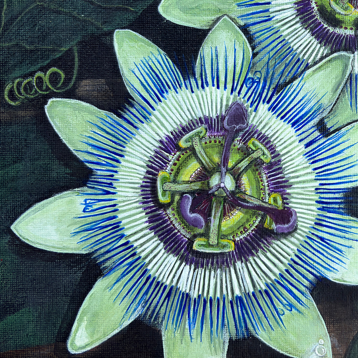 Close-up of the Passion Flower artwork showing layered blue filaments, violet details, and visible painted texture.