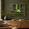 Guided by Nature redwood trillium fine art print in a natural oak frame above a warm oak credenza in a refined moss-green reading room.