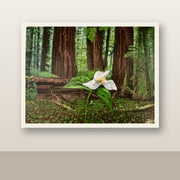 Guided by Nature shown as an unframed Somerset Velvet fine art paper print on a neutral wall.