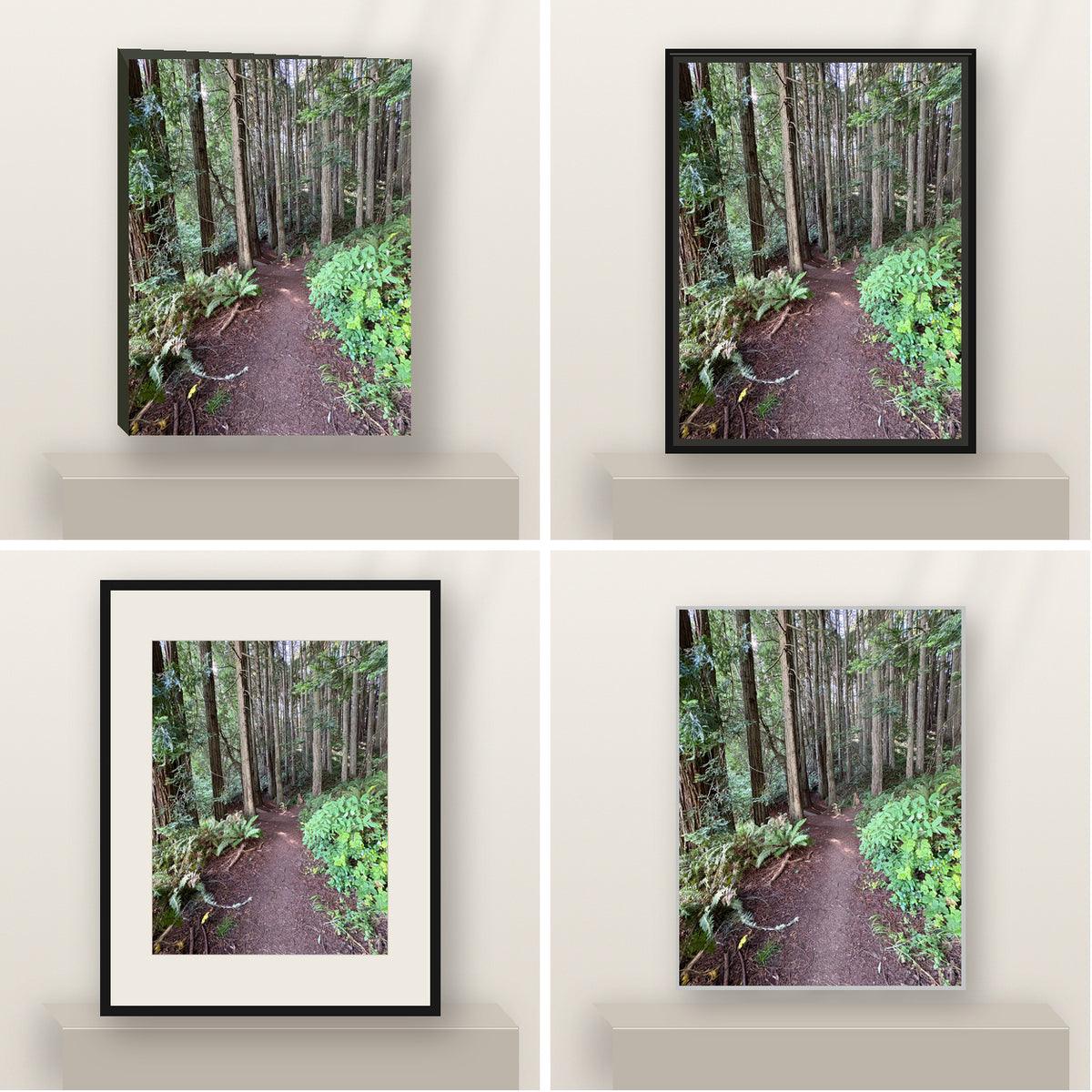 Path Through the Redwoods — California Coast shown in canvas, black float framed canvas, black framed fine-art paper, and glossy white metal finishes.