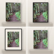 Path Through the Redwoods — California Coast shown in canvas, black float framed canvas, black framed fine-art paper, and glossy white metal finishes.