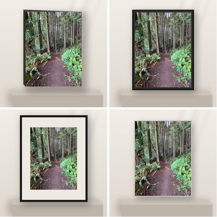 Path Through the Redwoods — California Coast shown in canvas, black float framed canvas, black framed fine-art paper, and glossy white metal finishes.