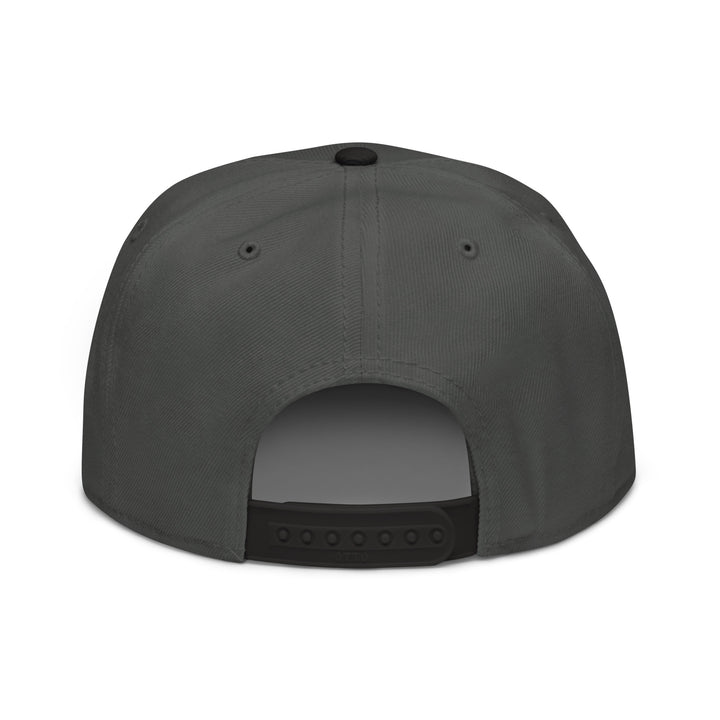 Moon Man Paints Original Paint Crater snapback black charcoal gray charcoal gray back view — updated product photo