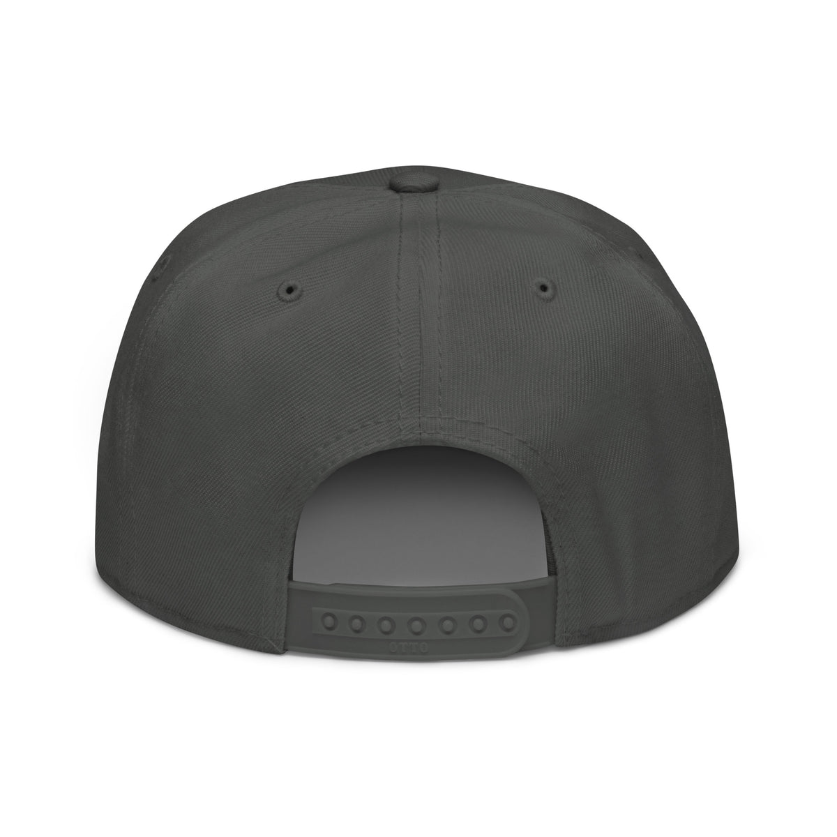 Moon Man Paints Original Paint Crater snapback charcoal gray back view — updated product photo