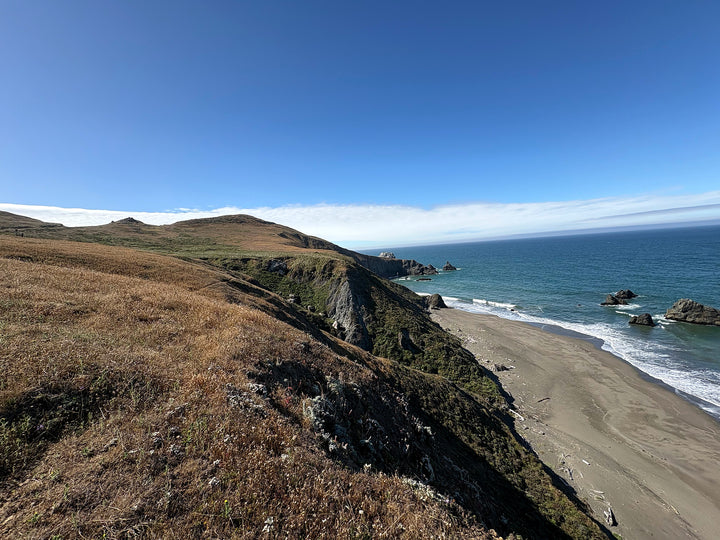 Golden coastal headlands meeting the blue Pacific Ocean near Bodega Bay, California.